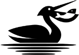 Pelican